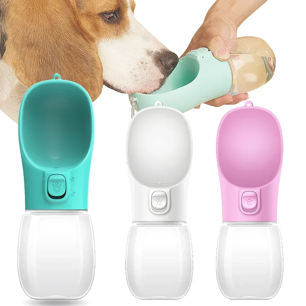 Gourde Premium Portable – L'Accessoire Indispensable pour vos Balades ! 🐾