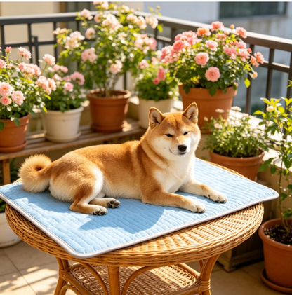 ❄️ Tapis Rafraîchissant Premium – Confort d'Été pour Chiens & Chats