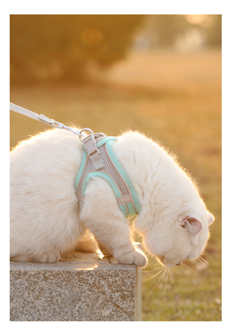 Harnais Premium Réfléchissant – Respirant et Réglable pour Chiens & Chats