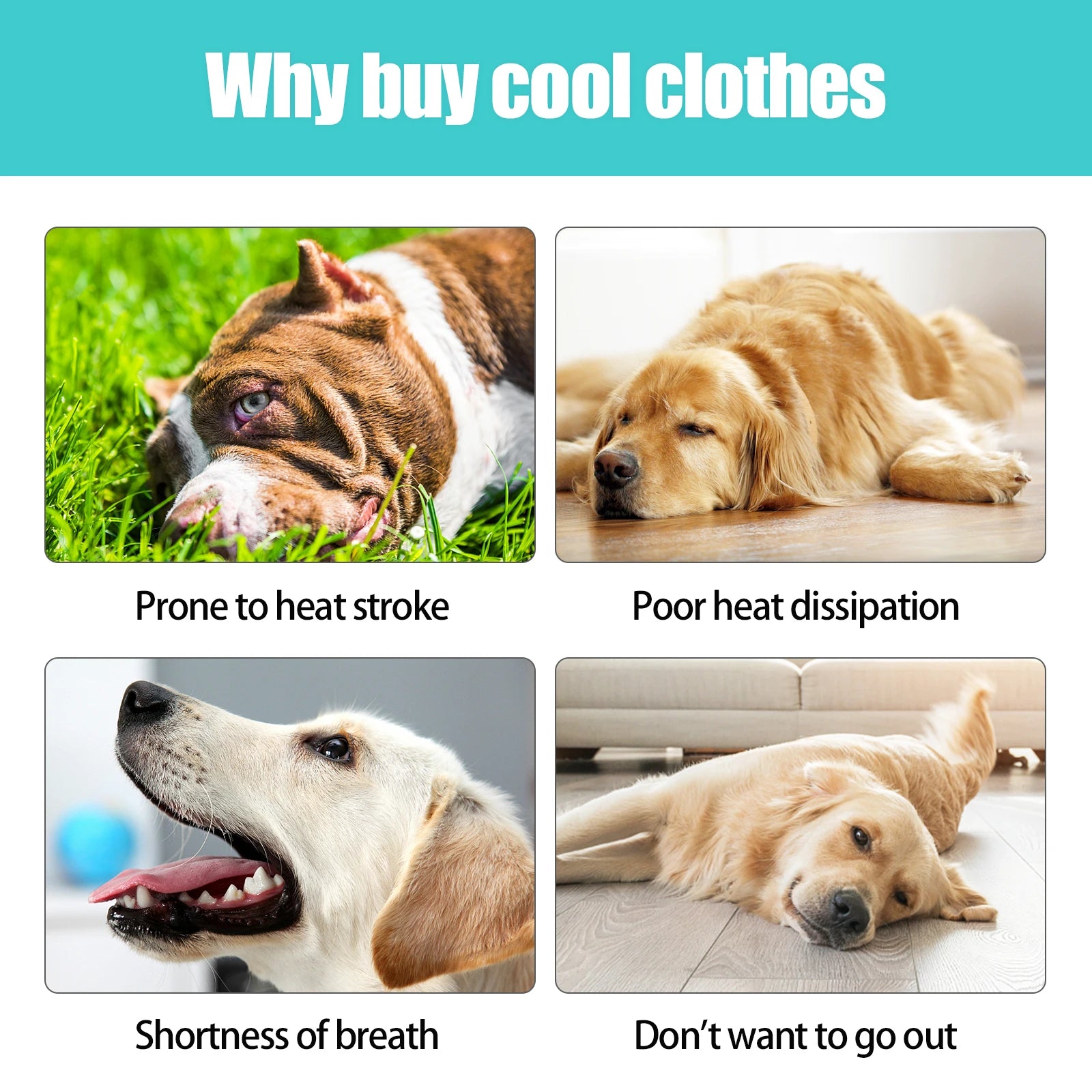 ☀️ Gilet Rafraîchissant Premium – Protégez votre Chien de la Canicule ! 🐾