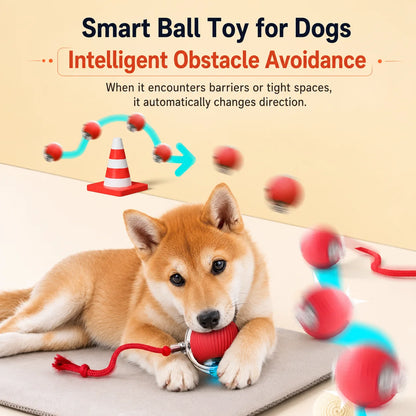 🎾 Balle Interactive Intelligente – Jouet Rechargeable pour Chien