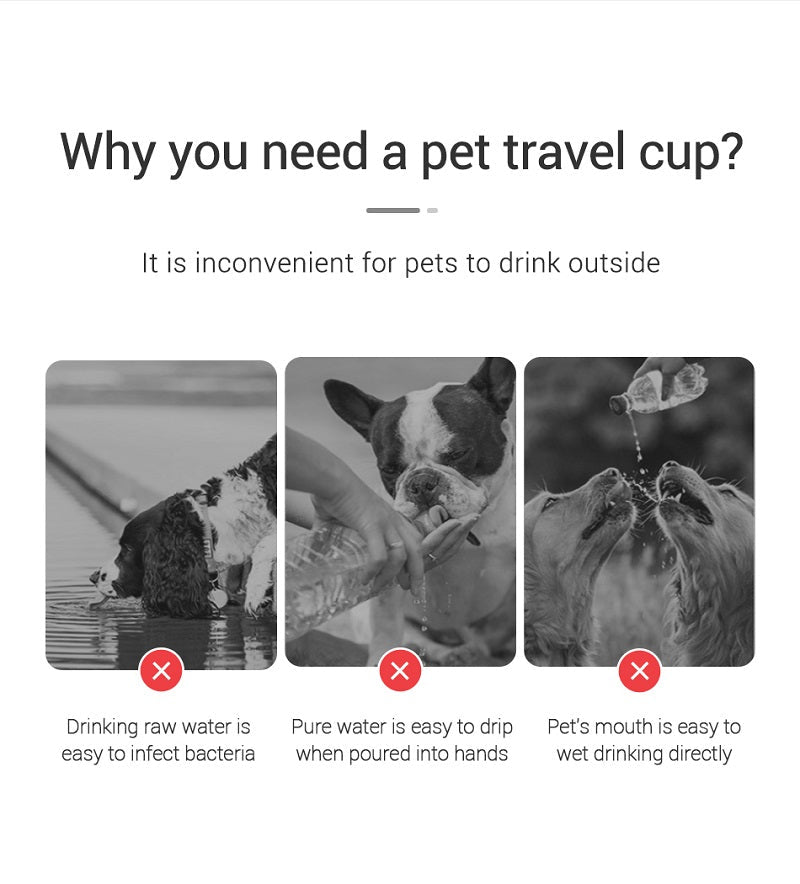 Gourde Premium Portable – L'Accessoire Indispensable pour vos Balades ! 🐾