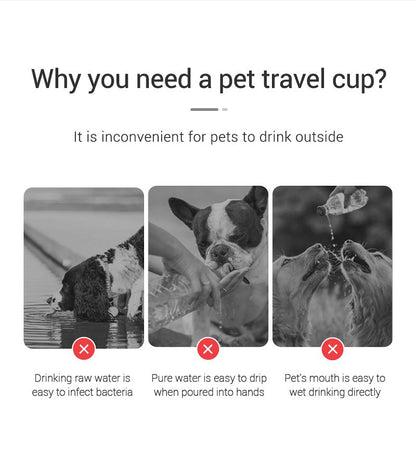 Gourde Premium Portable – L'Accessoire Indispensable pour vos Balades ! 🐾