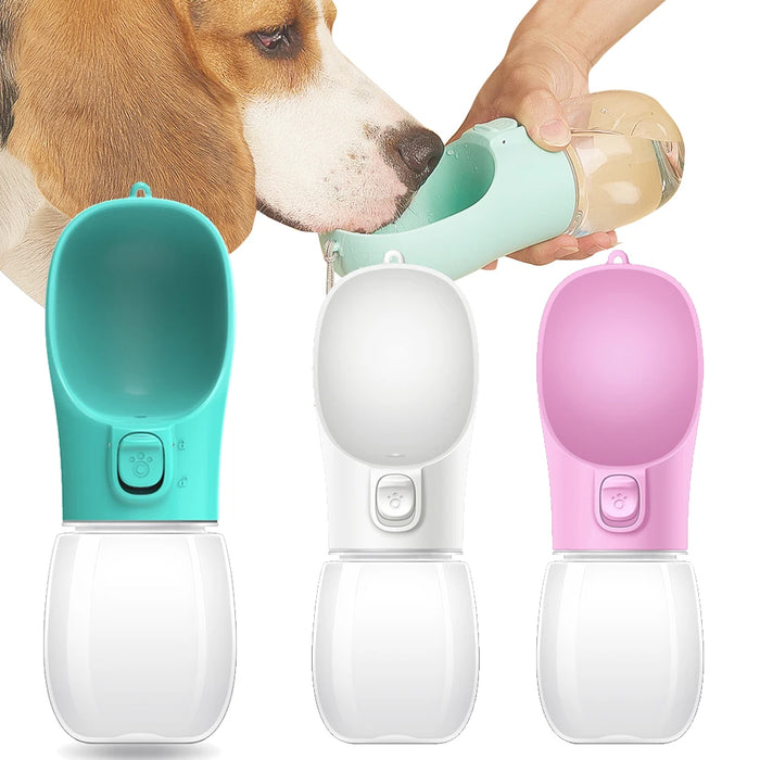 Gourde Premium Portable – L'Accessoire Indispensable pour vos Balades ! 🐾
