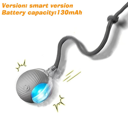 🎾 Balle Interactive Intelligente – Jouet Rechargeable pour Chien