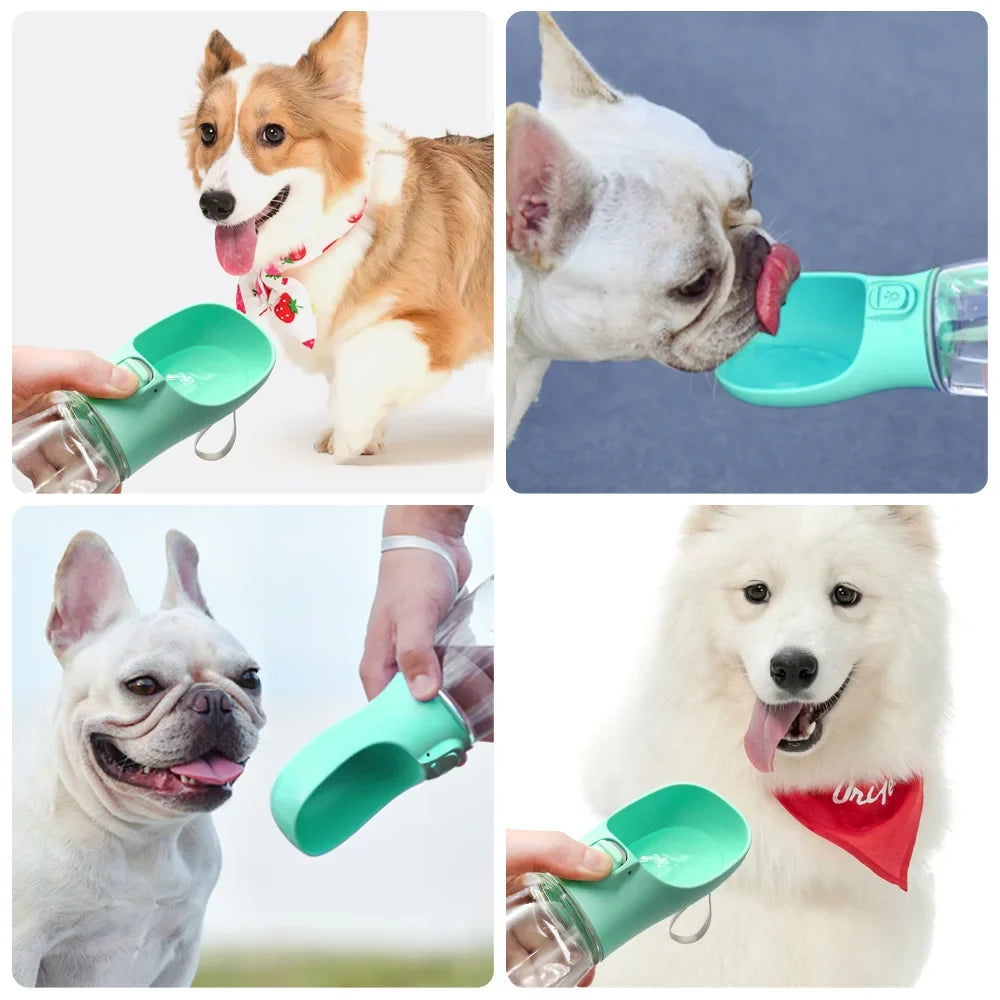 Gourde Premium Portable – L'Accessoire Indispensable pour vos Balades ! 🐾