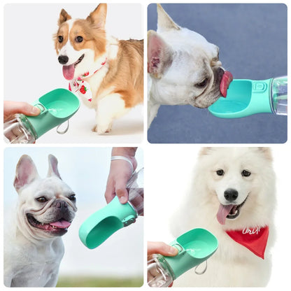 Gourde Premium Portable – L'Accessoire Indispensable pour vos Balades ! 🐾