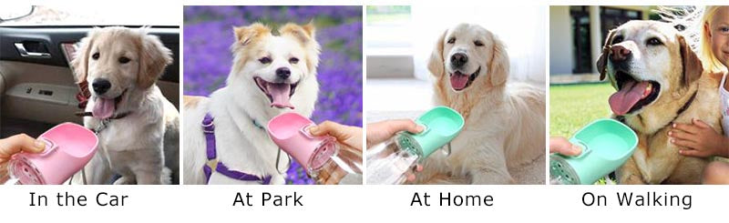 Gourde Premium Portable – L'Accessoire Indispensable pour vos Balades ! 🐾
