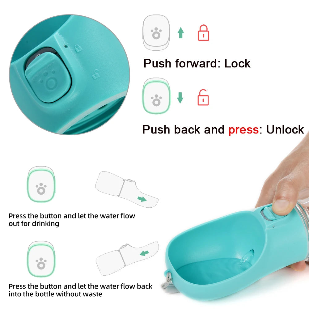 🚶 Gourde Premium Portable – L'Accessoire Indispensable pour vos Balades ! 🐾