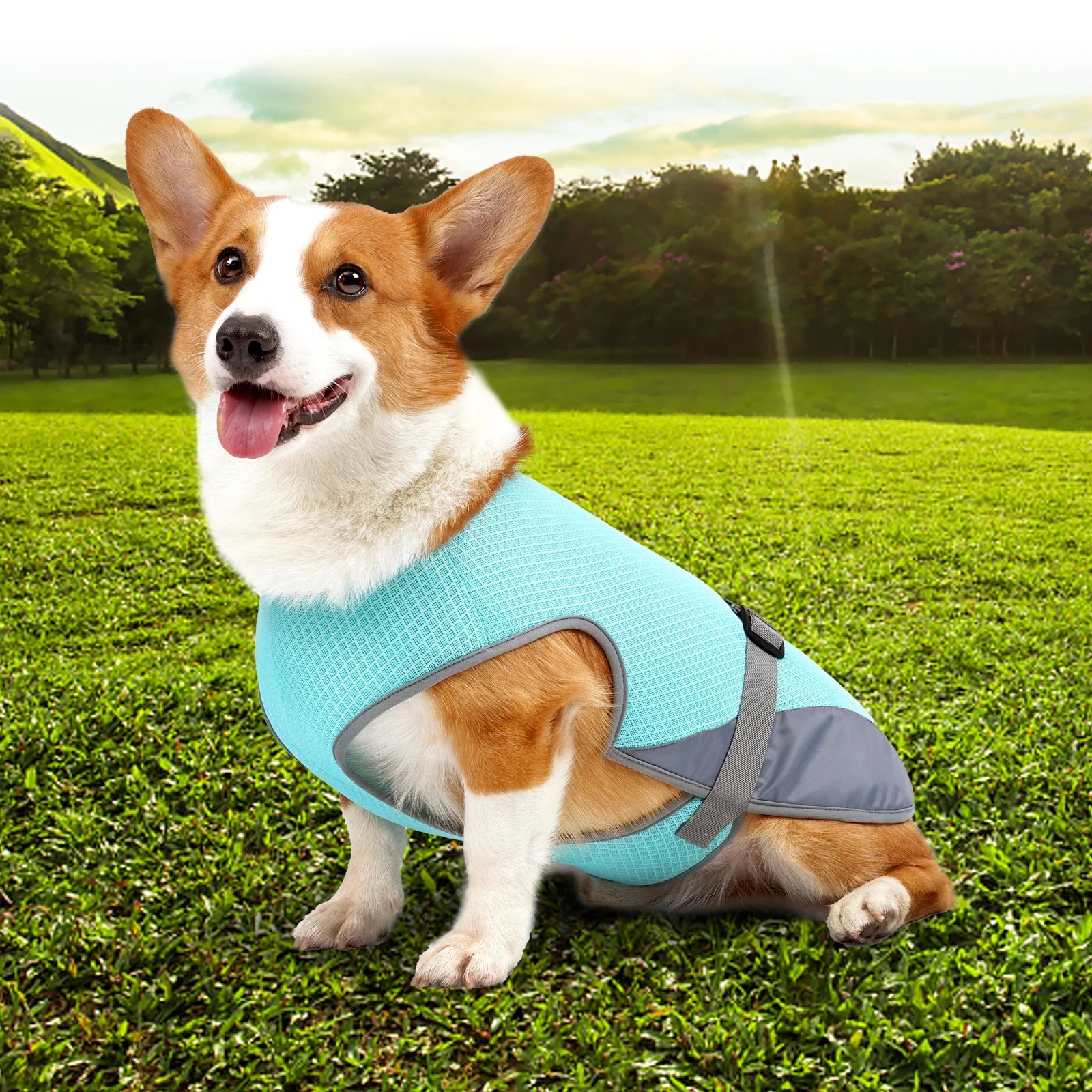☀️ Gilet Rafraîchissant Premium – Protégez votre Chien de la Canicule ! 🐾
