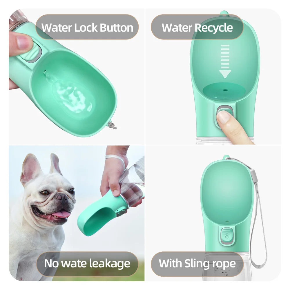 Gourde Premium Portable – L'Accessoire Indispensable pour vos Balades ! 🐾