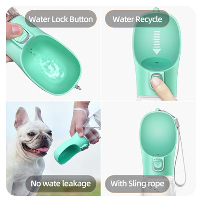 Gourde Premium Portable – L'Accessoire Indispensable pour vos Balades ! 🐾