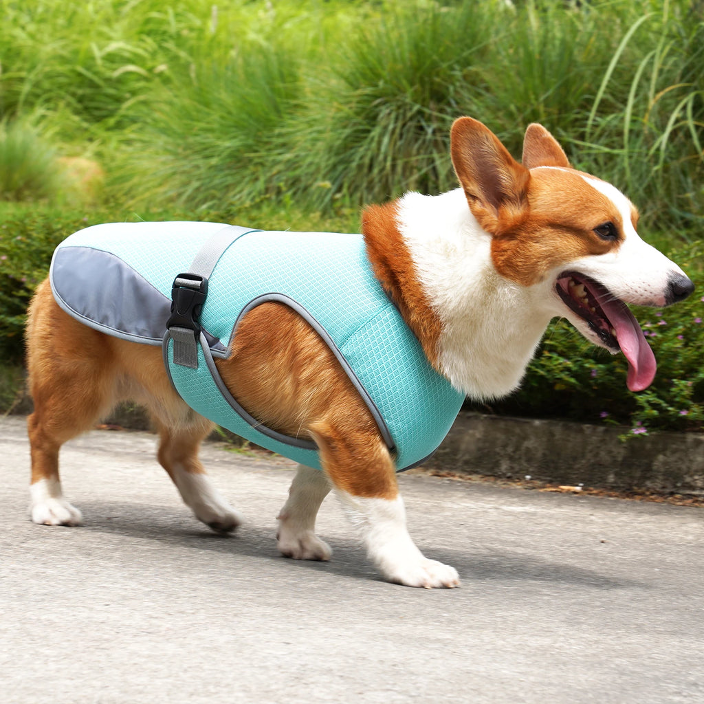 ☀️ Gilet Rafraîchissant Premium – Protégez votre Chien de la Canicule ! 🐾