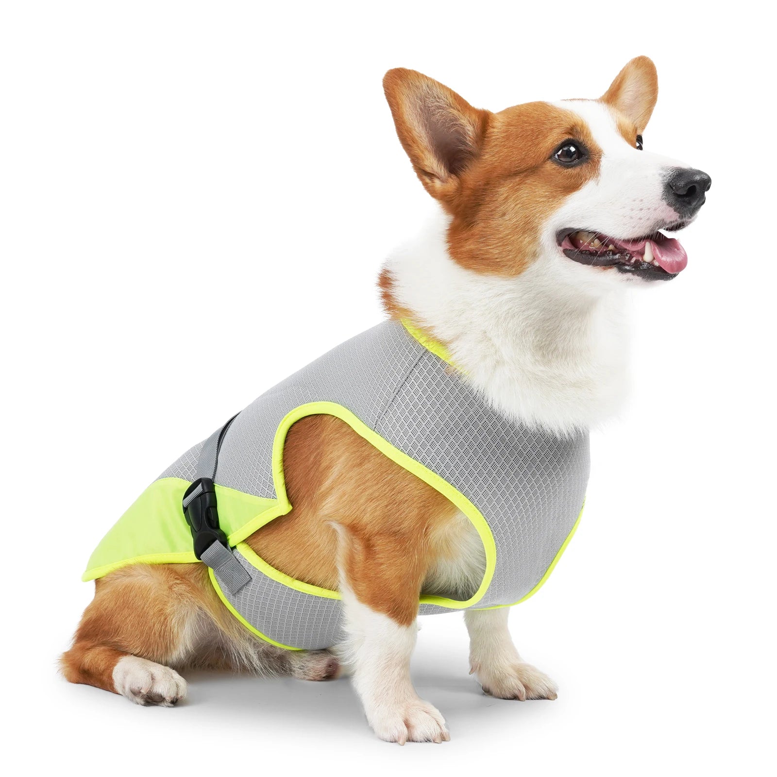 ☀️ Gilet Rafraîchissant Premium – Protégez votre Chien de la Canicule ! 🐾