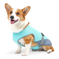 ☀️ Gilet Rafraîchissant Premium – Protégez votre Chien de la Canicule ! 🐾