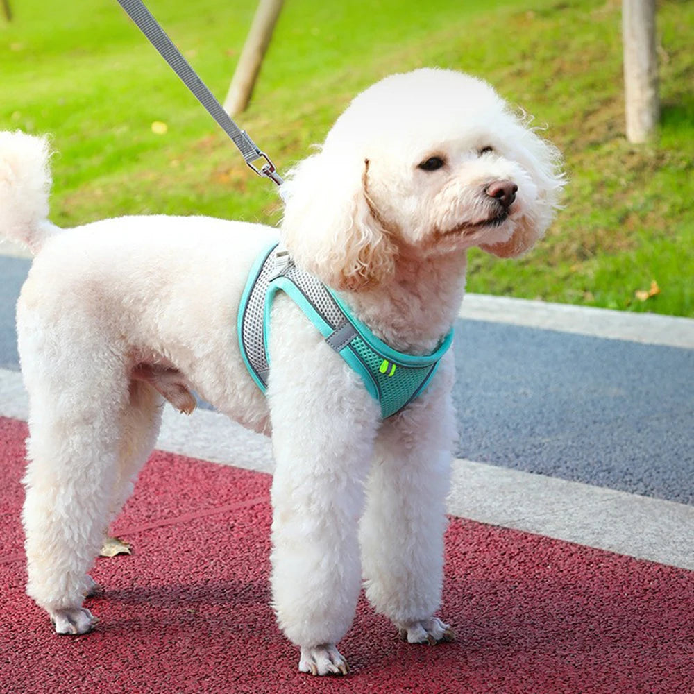 Harnais Premium Réfléchissant – Respirant et Réglable pour Chiens & Chats
