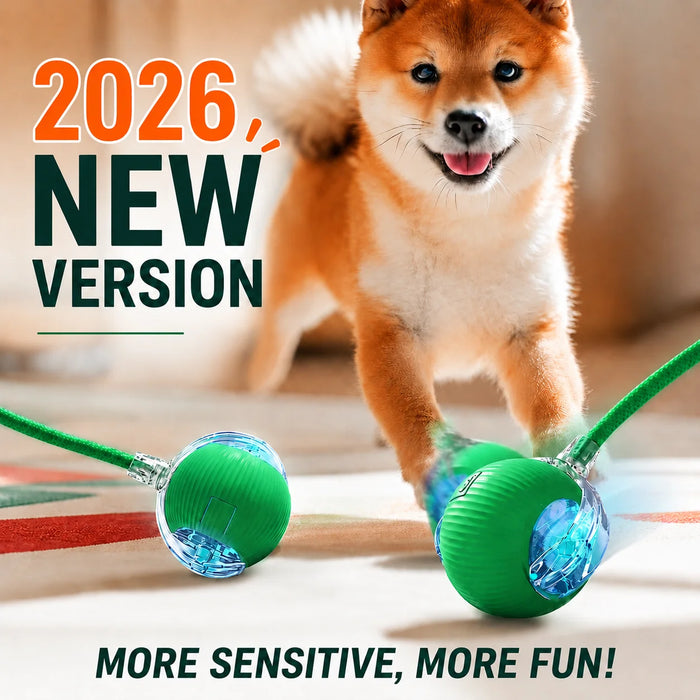 🎾 Balle Interactive Intelligente – Jouet Rechargeable pour Chien