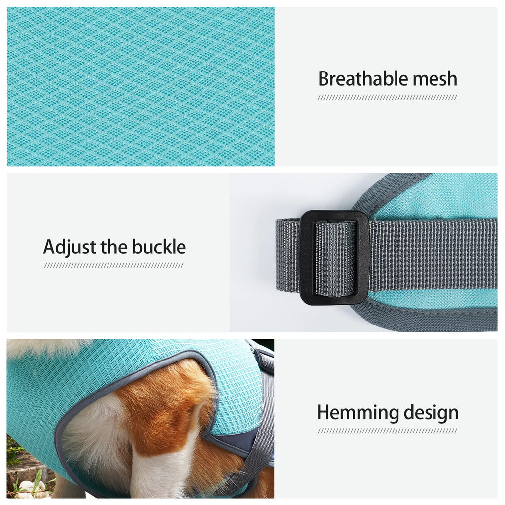 ☀️ Gilet Rafraîchissant Premium – Protégez votre Chien de la Canicule ! 🐾