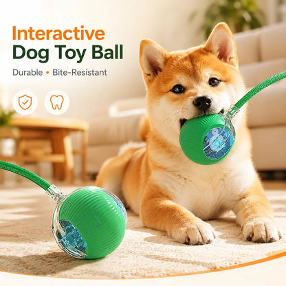 🎾 Balle Interactive Intelligente – Jouet Rechargeable pour Chien