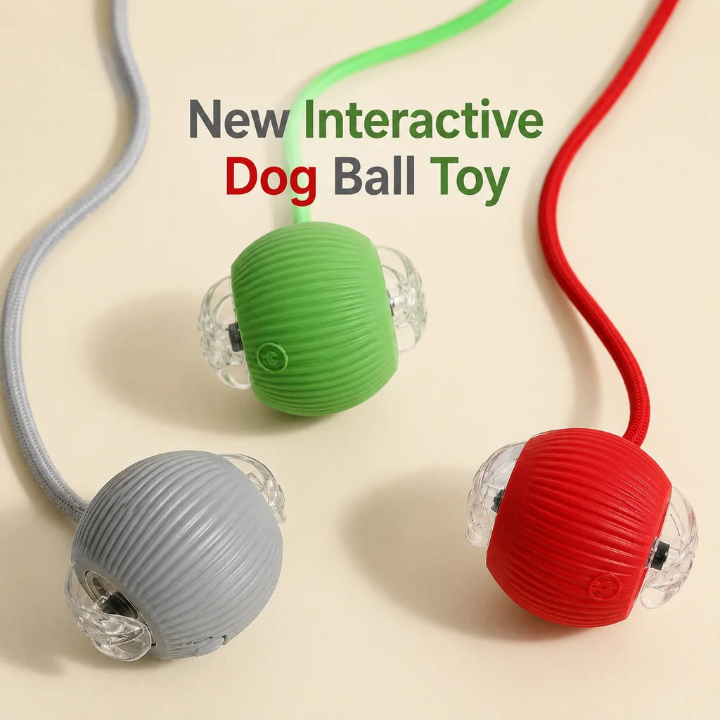 🎾 Balle Interactive Intelligente – Jouet Rechargeable pour Chien
